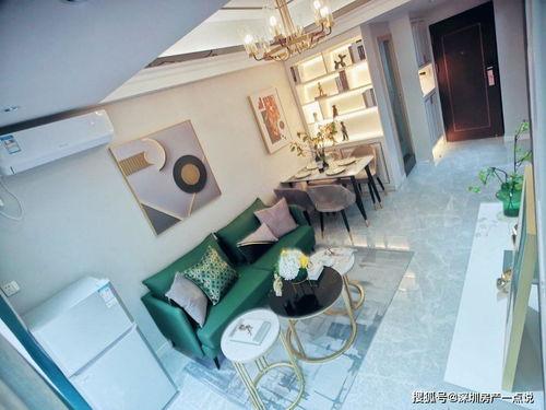 陈先生深圳最新爆料,揭秘深圳最新动态与热点事件